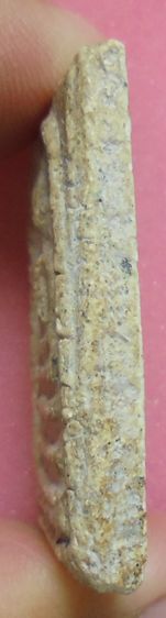 พระสมเด็จ ไม่ทราบที่ รูปที่ 4