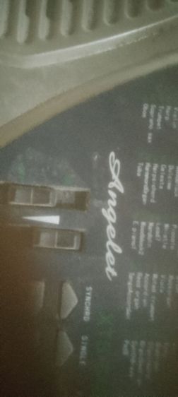 อีเล็กโทน รูปที่ 4