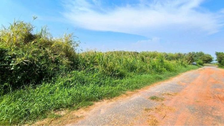 ใช่ ขายที่ดินเปล่า 2-1-89 ไร่ ซอยบางบอน 5 ซ.10 ถนนบางบอน 5 แขวงบางบอนเหนือ เขตบางบอน กรุงเทพฯ