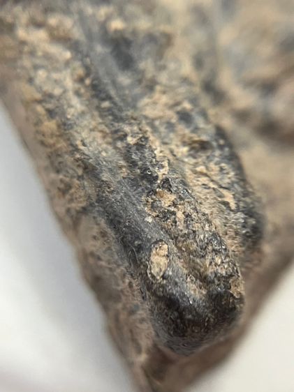 พระร่วงนั่งหลังลิ่ม รูปที่ 7