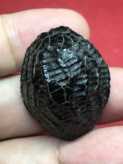 เครื่องราง รูปที่ 2