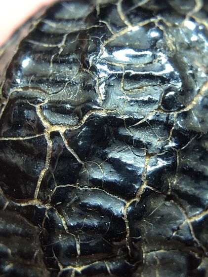 เครื่องราง รูปที่ 5