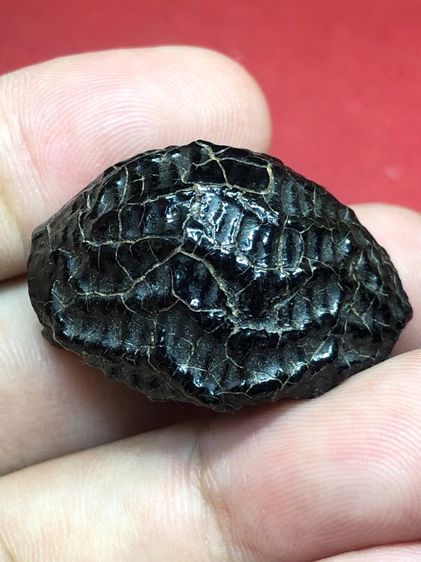 เครื่องราง