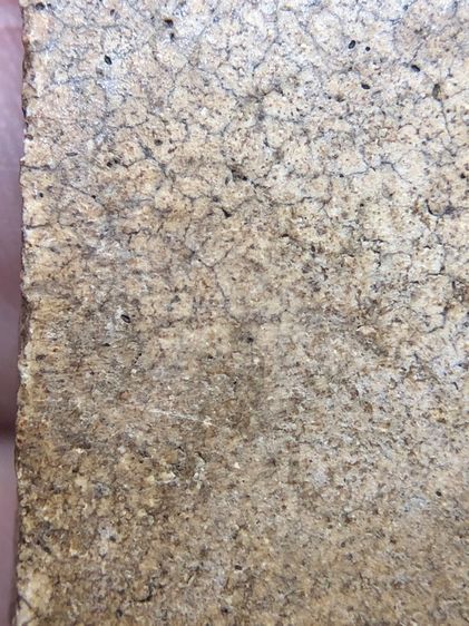 พระสมเด็จ รูปที่ 10