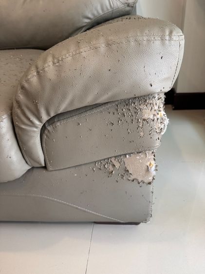 โซฟา koncept  รูปที่ 2