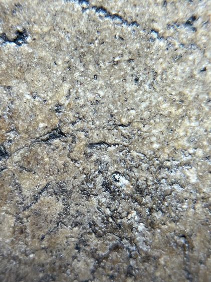 พระสมเด็จวัดระฆังใหญ่พิมพ์เส้นดาย รูปที่ 11