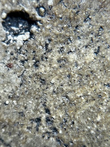 พระสมเด็จวัดระฆังใหญ่พิมพ์เส้นดาย รูปที่ 14