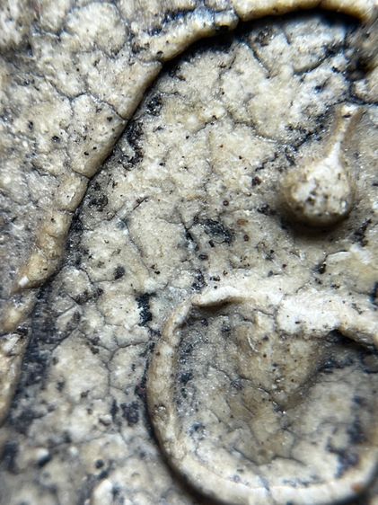 พระสมเด็จวัดระฆังใหญ่พิมพ์เส้นดาย รูปที่ 9