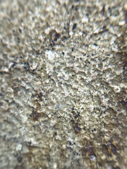 พระสมเด็จวัดระฆังพิมพ์เส้นดายเนื้อเก่าสวยมาก หายาก รูปที่ 11