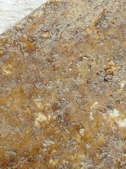 บางขุนพรหม รูปที่ 11