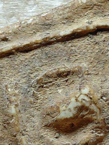 บางขุนพรหม รูปที่ 10