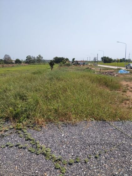 ใช่ ขายด่วนถมแล้ว50ตรว. รูปที่ 4