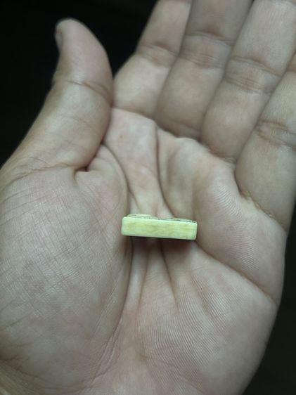 สิงห์สามขวัญ ขาหลังมีตำหนิ (มีสินค้าหลายรายการกดเข้ามาดูในโปรไฟล์ได้เลยครับ) รูปที่ 5