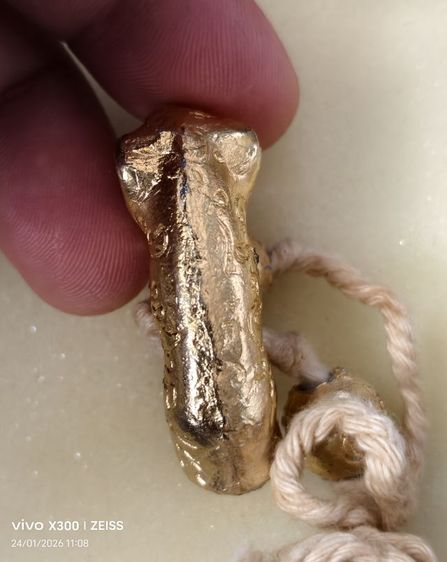 เสือเนื้อตะกั่วกะไหล่ทอง พร้อมลูกสะกด รูปที่ 3