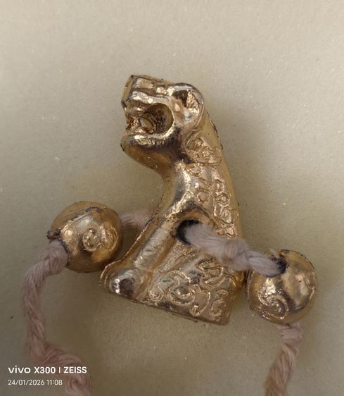 เสือเนื้อตะกั่วกะไหล่ทอง พร้อมลูกสะกด รูปที่ 4