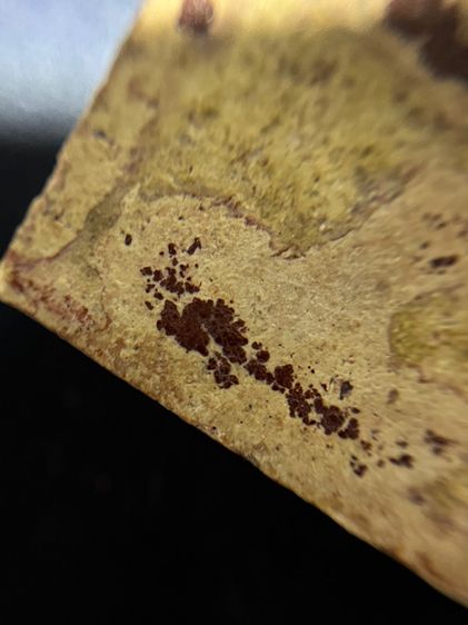 สมเด็จพิมพ์ใหญ่ รูปที่ 8