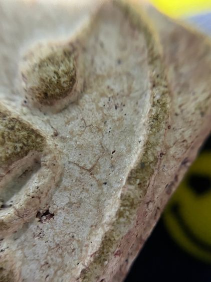 สมเด็จพิมพ์ใหญ่ รูปที่ 7