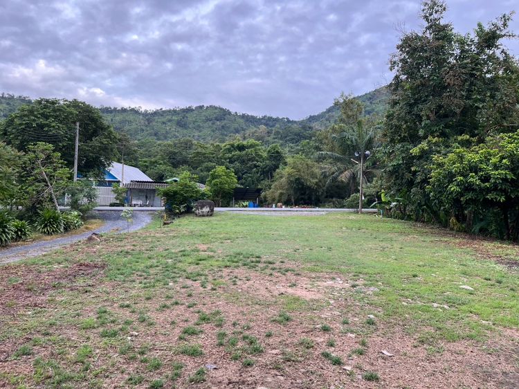 ขายที่ดิน 200 ตารางวา มีบ้าน 1 หลัง ต.เขาพระ ติดถนนหลัก เหมาะทำพูลวิลล่า รูปที่ 2