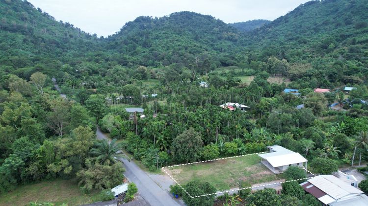 ขายที่ดิน 200 ตารางวา มีบ้าน 1 หลัง ต.เขาพระ ติดถนนหลัก เหมาะทำพูลวิลล่า รูปที่ 3