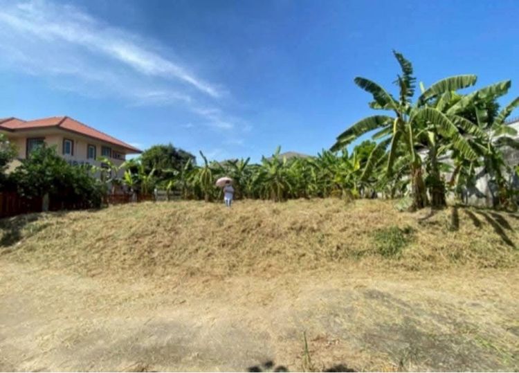 เช่าที่ดิน 100 ตารางวา รูปที่ 2