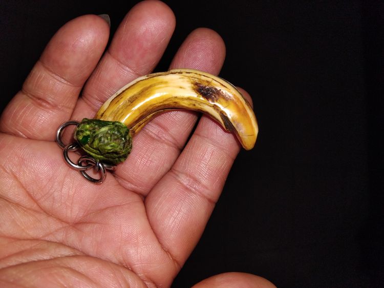 เขี้ยวหมูตัน ถักเชือก ขนาดยาว 3 นิ้ว สีเหลืองอมเขียว มีน้ำหนัก แข็ง ผิวเดิม เรียบเนียนมือ สภาพสวย สมบูรณ์ ปลายเขี้ยวบิ่นเฉียงเป็นไปตามธรรมชา