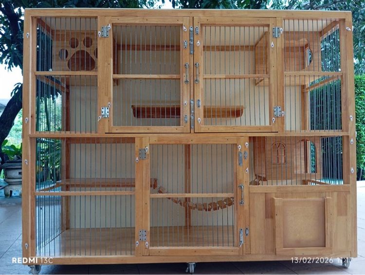 บ้านแมว