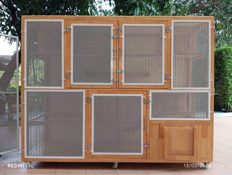 บ้านแมว รูปที่ 3