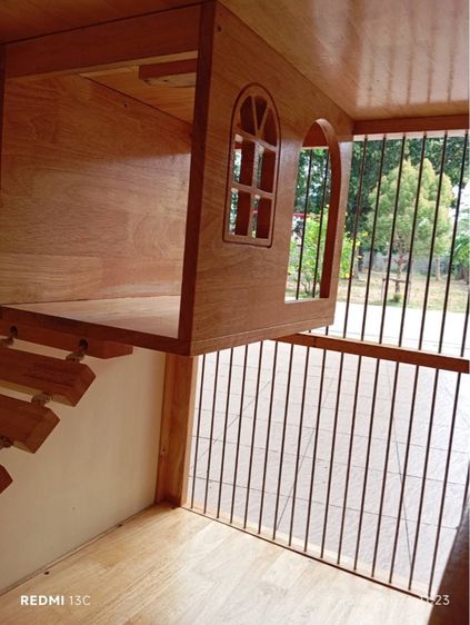 บ้านแมว รูปที่ 5