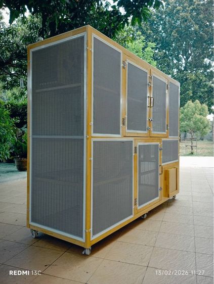 บ้านแมว รูปที่ 8