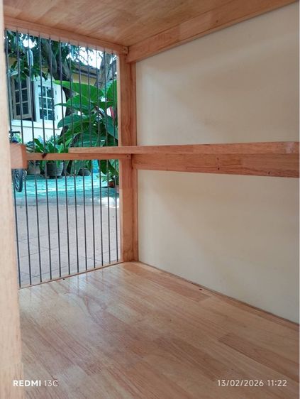 บ้านแมว รูปที่ 4