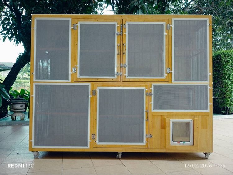 บ้านแมว รูปที่ 11