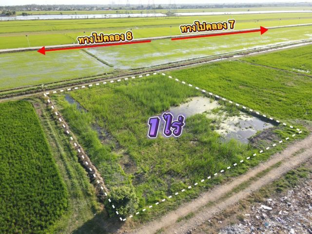 ที่ดินคลอง 8 ลำลูกกา ขายถูก รูปที่ 4