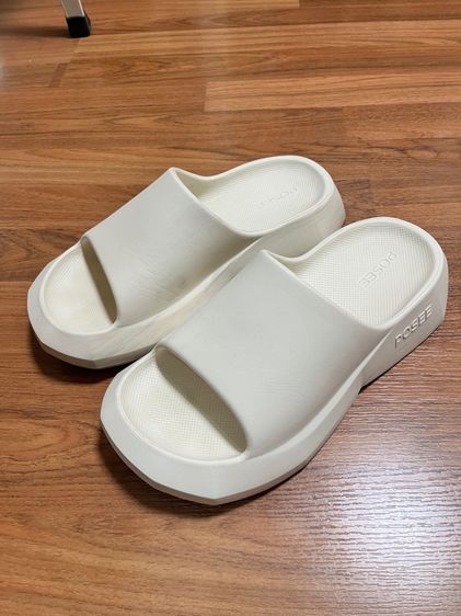 posee 40-41