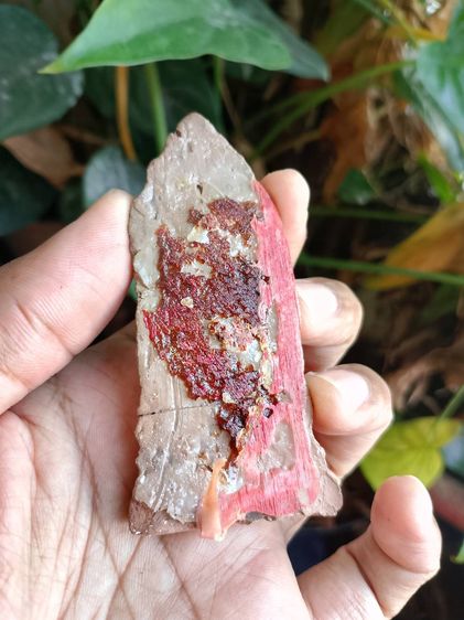 พระโคนสมอ เนื้อดินเผา  ปางยืนอุ้มบาตร (พระประจำวันพุธกลางวัน)  รูปที่ 2