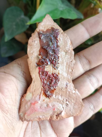 พระโคนสมอ พิมพ์นาคปรก เนื้อดิน (พระประจำวันเสาร์)  รูปที่ 2