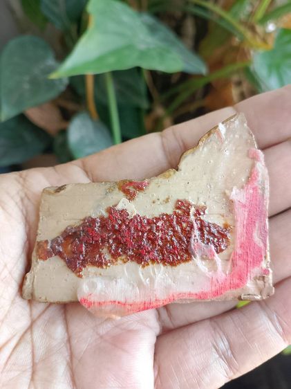 พระโคนสมอ อยุธยา ปางไสยาสน์ ไม่ทราบที่ รูปที่ 2