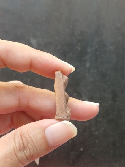 ผงสุพรรณพิมพ์หน้าแก่ รูปที่ 3