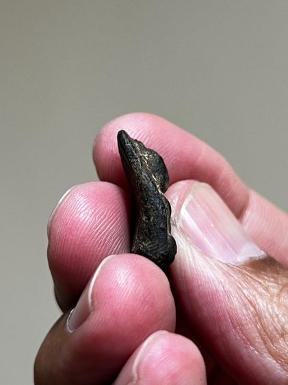 พระเนื้อดินดำ รูปที่ 4