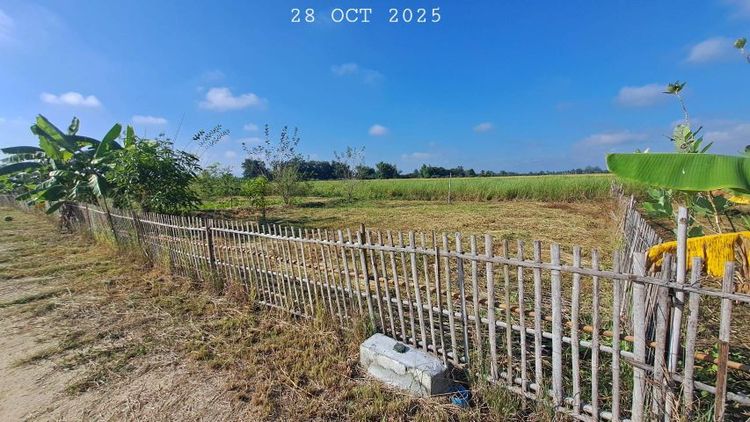 ไม่ใช่ เจ้าของขายเอง บ่อปลาสวนผสมมีโฉนดเกือบ 2 ไร่ ขายยกแปลงเพียง 690,000 บาทฟรีโอน  รูปที่ 4