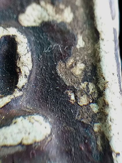 พิมพ์อกวี,ลงรักปิดทอง. รูปที่ 14