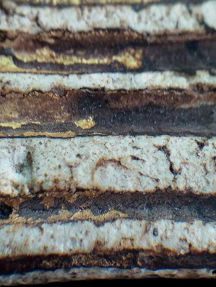 พิมพ์อกวี,ลงรักปิดทอง. รูปที่ 9