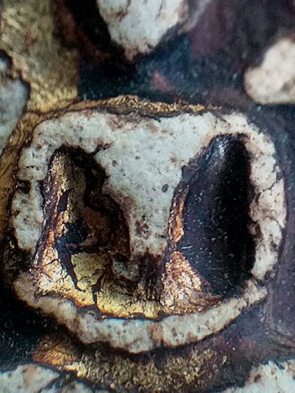 พิมพ์อกวี,ลงรักปิดทอง. รูปที่ 7