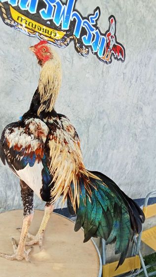 สายเลือดมหานคร รูปที่ 4