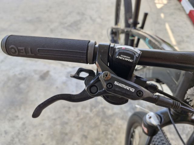 เสือภูเขา Bianchi