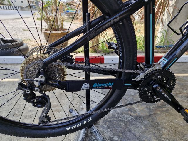 เสือภูเขา Bianchi รูปที่ 8