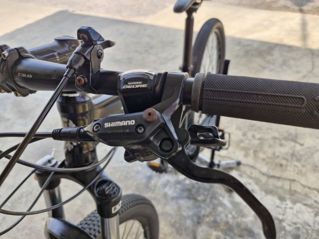 เสือภูเขา Bianchi รูปที่ 2