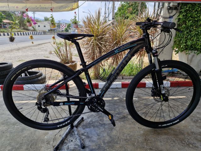 เสือภูเขา Bianchi รูปที่ 9