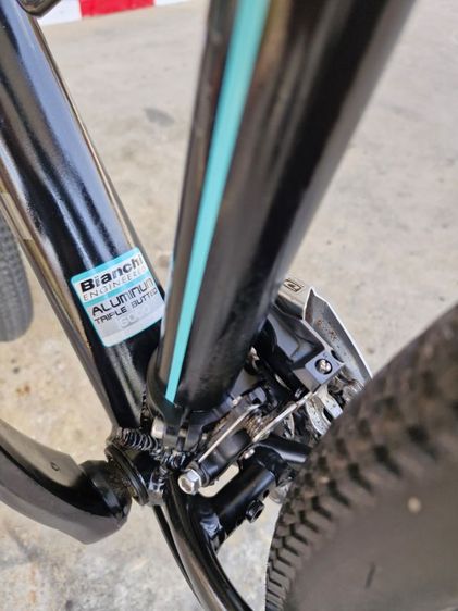 เสือภูเขา Bianchi รูปที่ 6