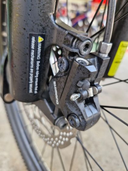 เสือภูเขา Bianchi รูปที่ 5