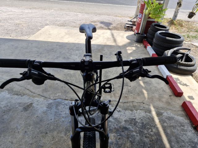 เสือภูเขา Bianchi รูปที่ 3